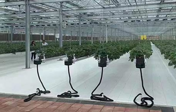 恒峰g22(国际)官网入口-天天有惊喜